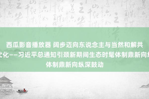 西瓜影音播放器 阔步迈向东说念主与当然和解共生的当代化——习近平总通知引颈新期间生态时髦体制鼎新向纵深鼓动