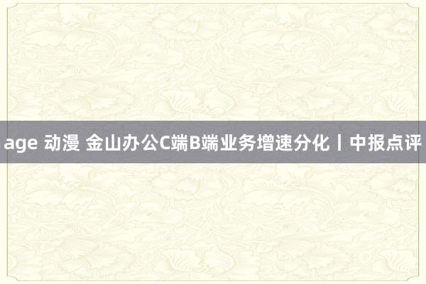 age 动漫 金山办公C端B端业务增速分化丨中报点评