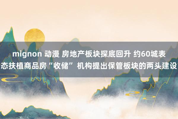 mignon 动漫 房地产板块探底回升 约60城表态扶植商品房“收储” 机构提出保管板块的两头建设