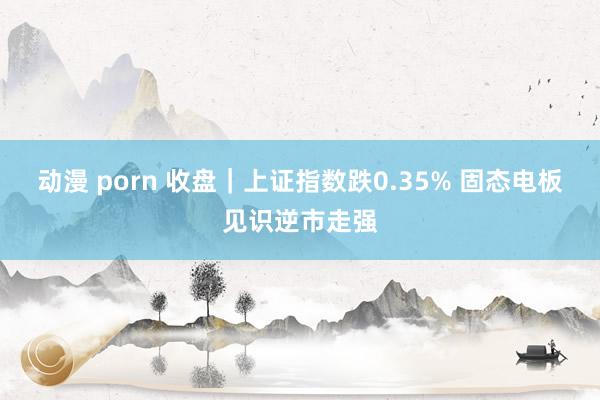 动漫 porn 收盘｜上证指数跌0.35% 固态电板见识逆市走强