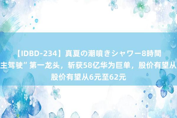 【IDBD-234】真夏の潮噴きシャワー8時間 “无东说念主驾驶”第一龙头，斩获58亿华为巨单，股价有望从6元至62元