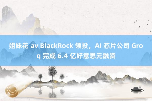 姐妹花 av BlackRock 领投，AI 芯片公司 Groq 完成 6.4 亿好意思元融资