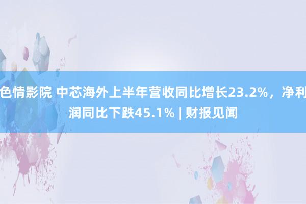 色情影院 中芯海外上半年营收同比增长23.2%，净利润同比下跌45.1% | 财报见闻