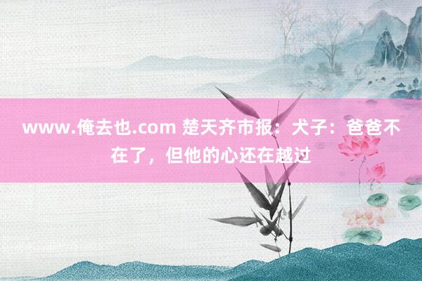 www.俺去也.com 楚天齐市报：犬子：爸爸不在了，但他的心还在越过