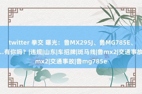 twitter 拳交 曝光：鲁MX295J、鲁MG785E、鲁MX732F...有你吗？|违规|山东|车招牌|斑马线|鲁mx2|交通事故|鲁mg785e