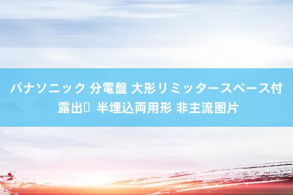 パナソニック 分電盤 大形リミッタースペース付 露出・半埋込両用形 非主流图片