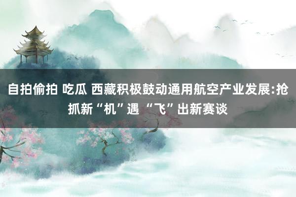 自拍偷拍 吃瓜 西藏积极鼓动通用航空产业发展:抢抓新“机”遇 “飞”出新赛谈