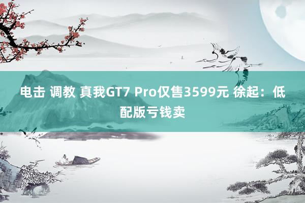 电击 调教 真我GT7 Pro仅售3599元 徐起：低配版亏钱卖