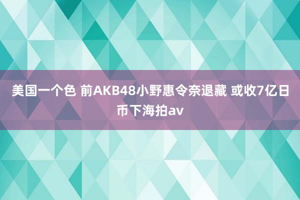 美国一个色 前AKB48小野惠令奈退藏 或收7亿日币下海拍av