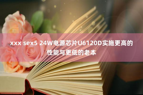 xxx sex5 24W电源芯片U6120D实施更高的性能与更低的老本