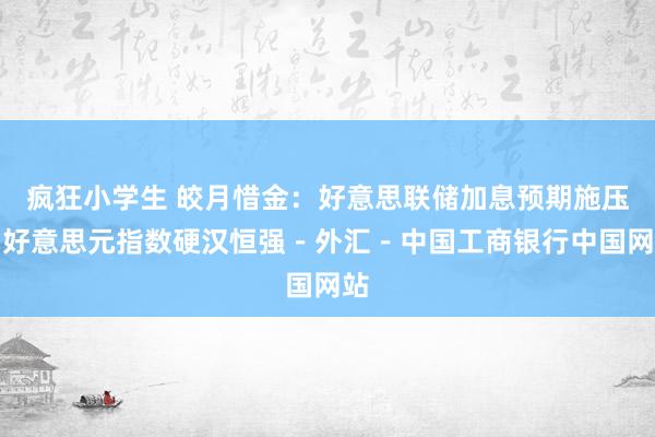 疯狂小学生 皎月惜金：好意思联储加息预期施压，好意思元指数硬汉恒强－外汇－中国工商银行中国网站