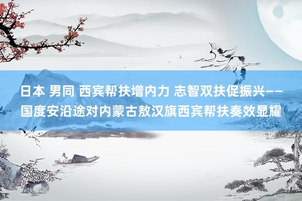 日本 男同 西宾帮扶增内力 志智双扶促振兴——国度安沿途对内蒙古敖汉旗西宾帮扶奏效显耀